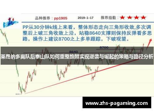 莱昂纳多离队后泰山队如何重整旗鼓实现逆袭与崛起的策略与路径分析
