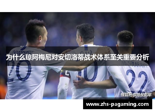 为什么琼阿梅尼对安切洛蒂战术体系至关重要分析