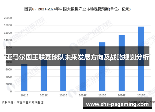 亚马尔国王联赛球队未来发展方向及战略规划分析