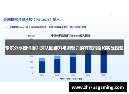 专家分享如何提升球队团结力与凝聚力的有效策略和实战经验