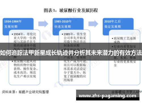 如何追踪法甲新星成长轨迹并分析其未来潜力的有效方法